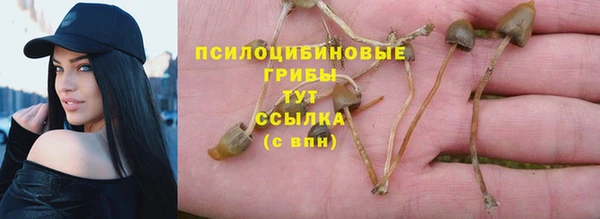 мет Кинешма