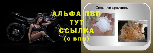 прущий лед Инсар