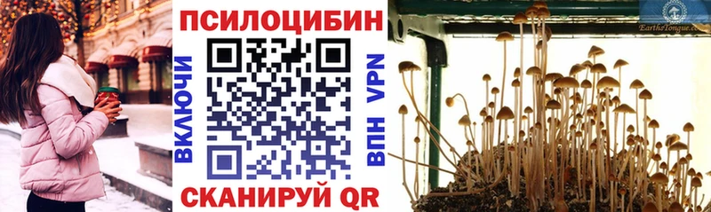 Галлюциногенные грибы Psilocybe  MEGA зеркало  Пущино 